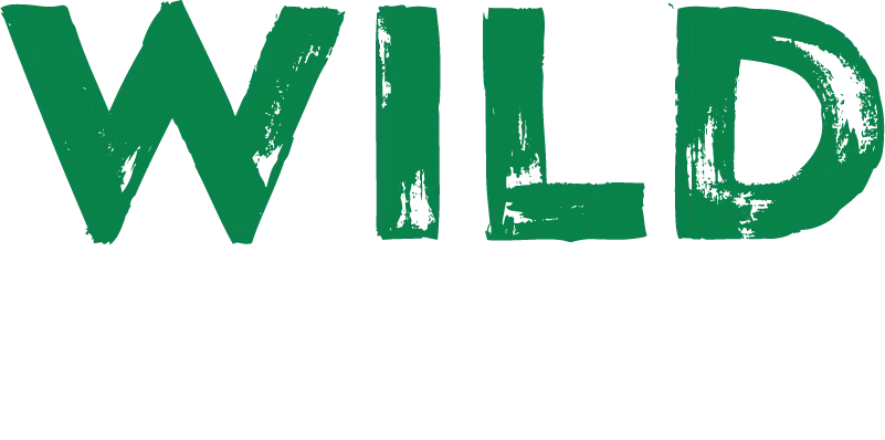 Wild Casino